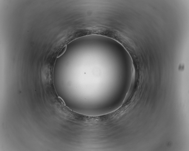 X0000092291058200709141255