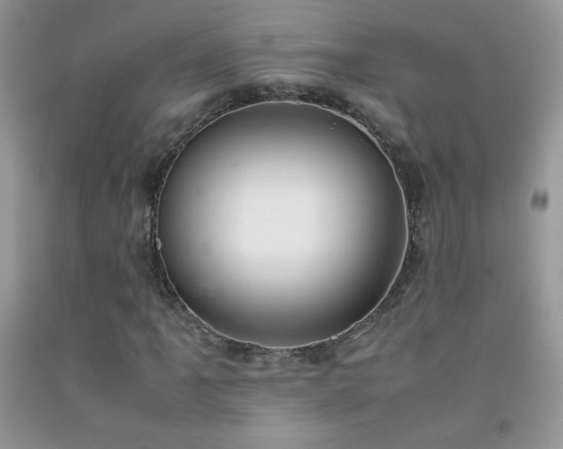 X0000092291061200709141255