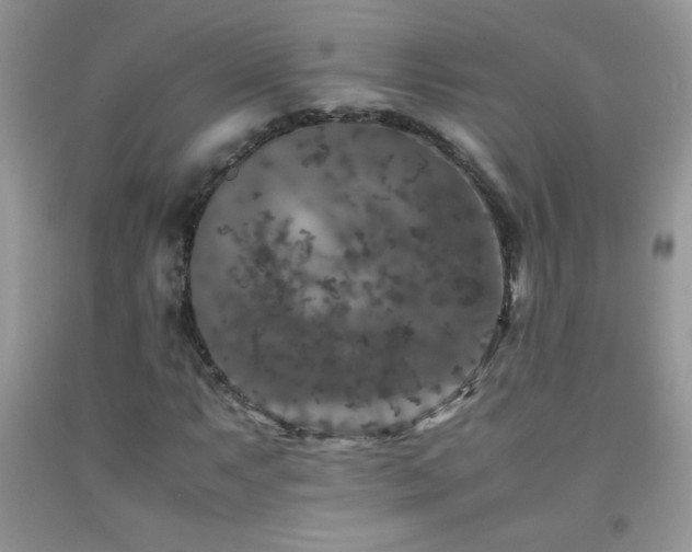 X0000092291063200709141255