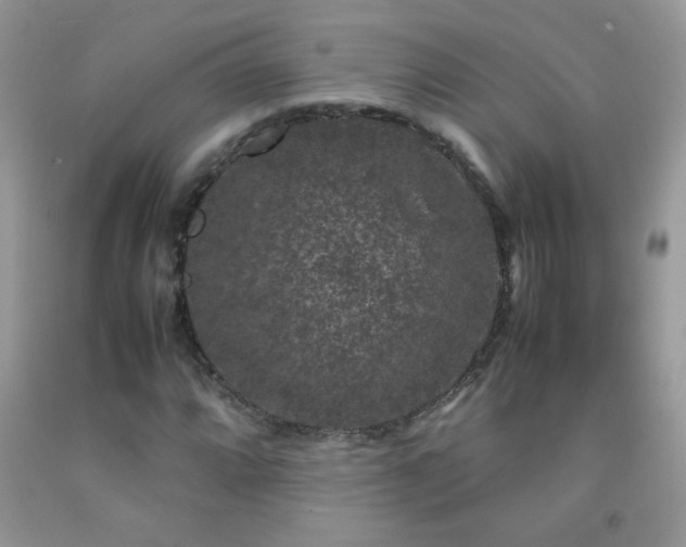 X0000092291064200709141255