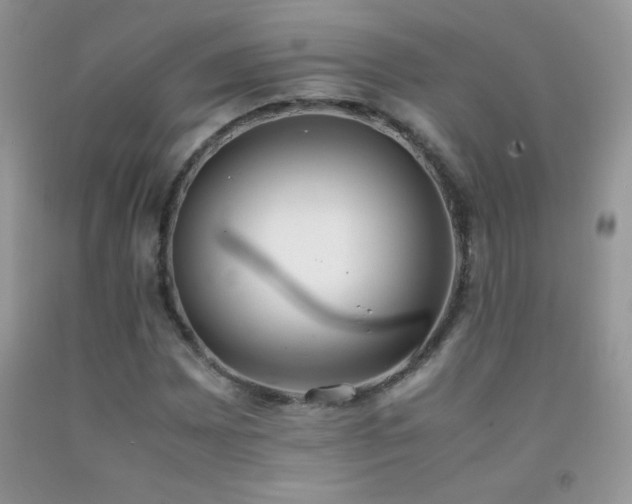 X0000092291065200709141255