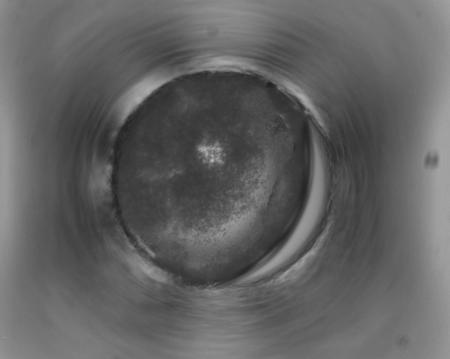 X0000092291066200709141255