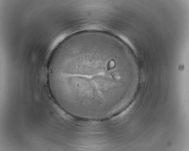 X0000092291067200709141255