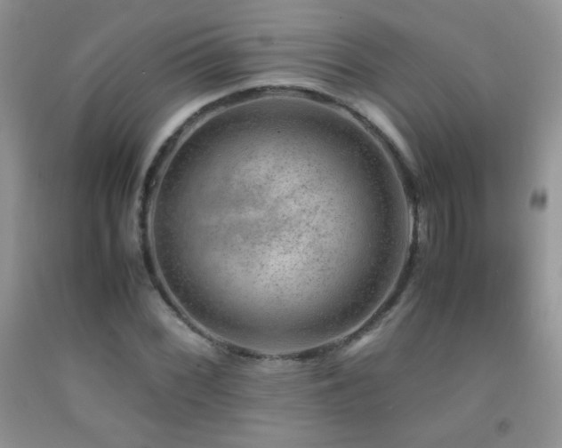 X0000092291068200709141255