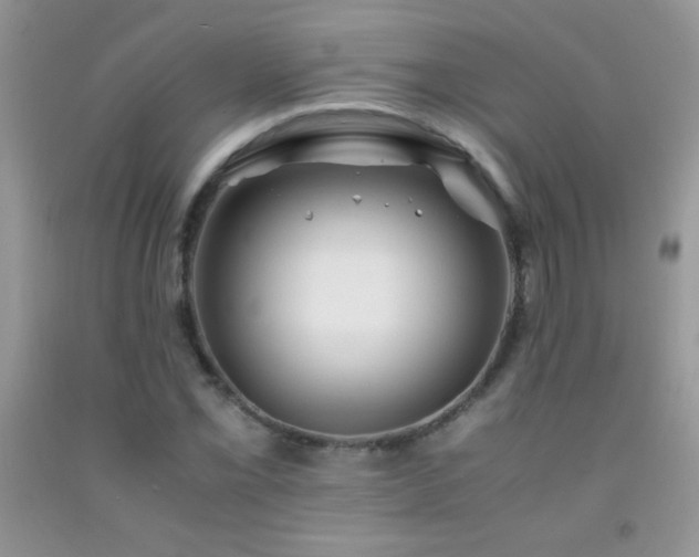 X0000092291069200709141255