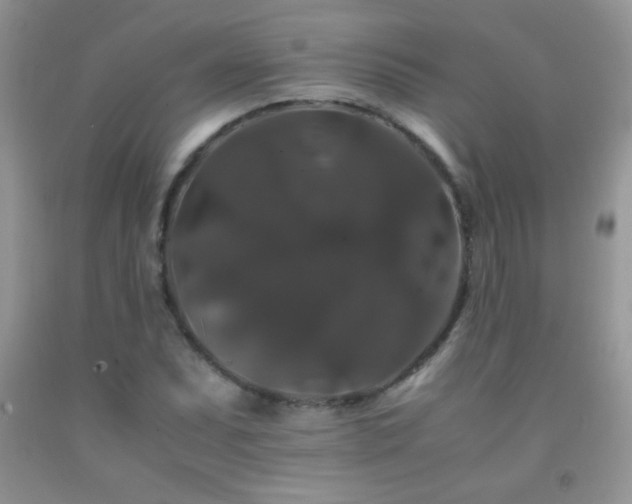 X0000092291071200709141255