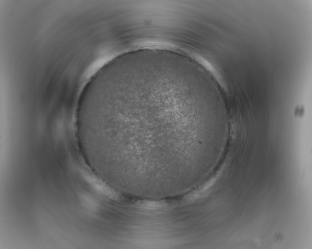 X0000092291074200709141255