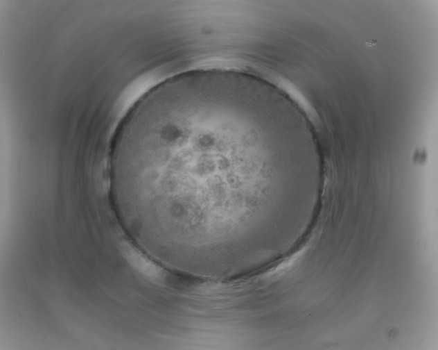 X0000092291075200709141255