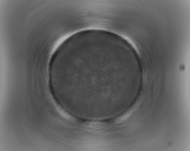 X0000092291077200709141255