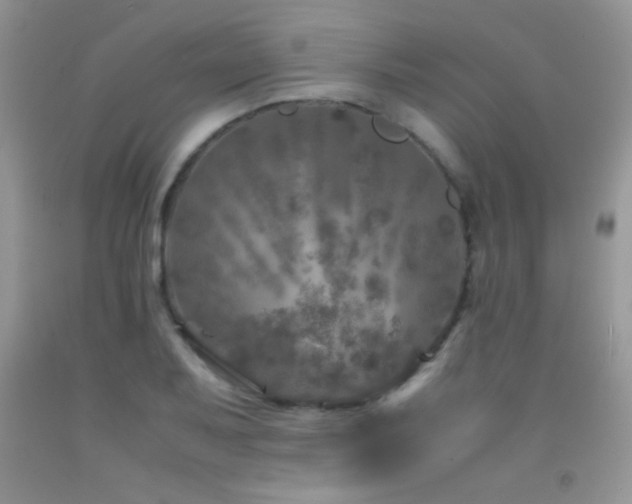 X0000092291079200709141255