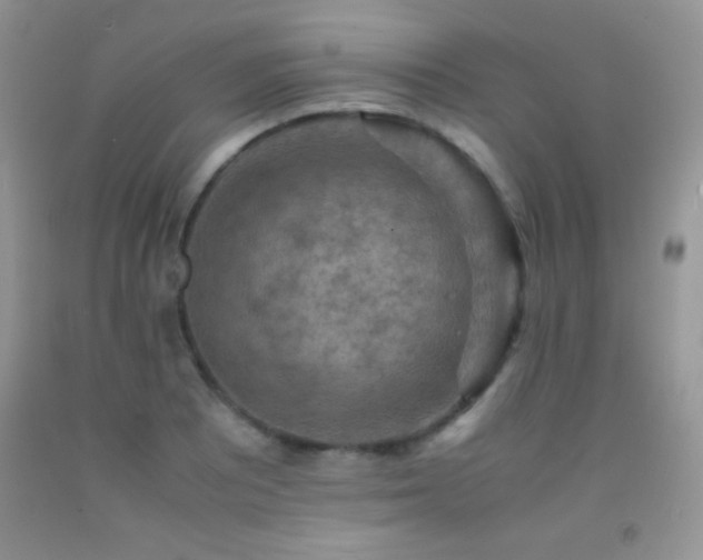 X0000092291081200709141255