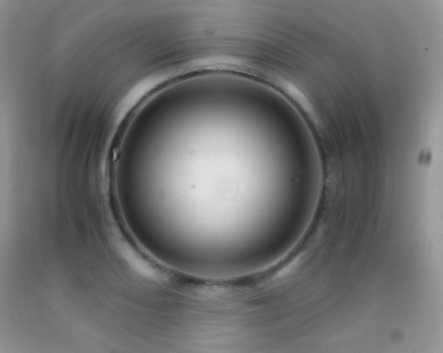 X0000092291082200709141255