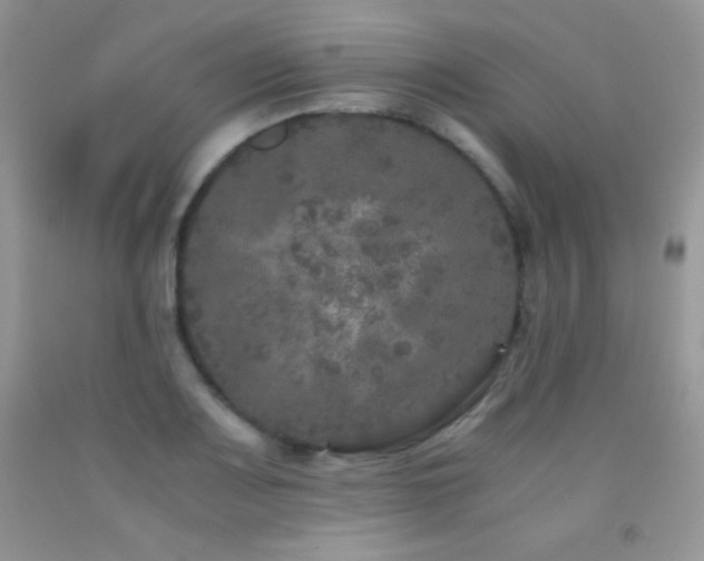 X0000092291083200709141255