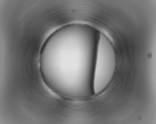 X0000092291084200709141255