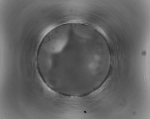 X0000092291087200709141255