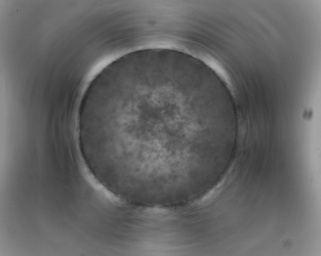 X0000092291088200709141255