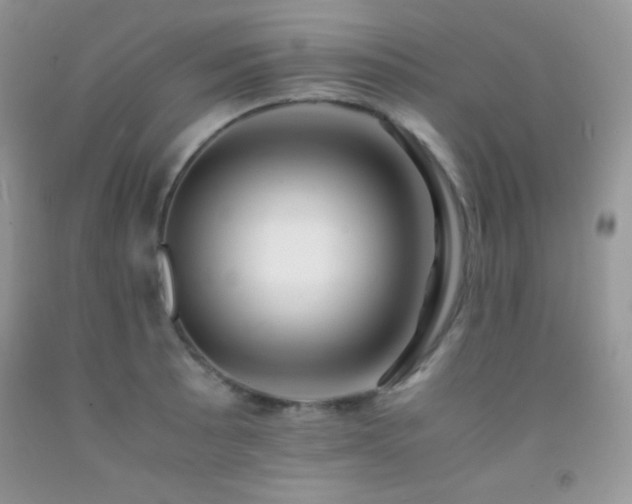 X0000092291089200709141255