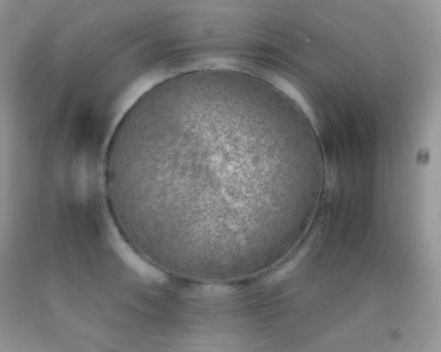 X0000092291090200709141255