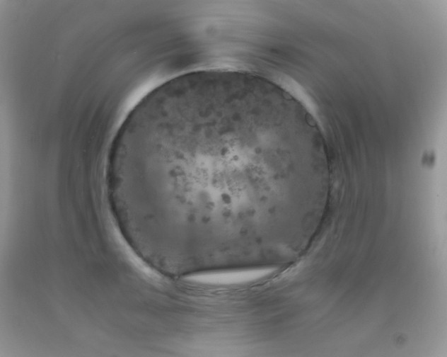 X0000092291091200709141254