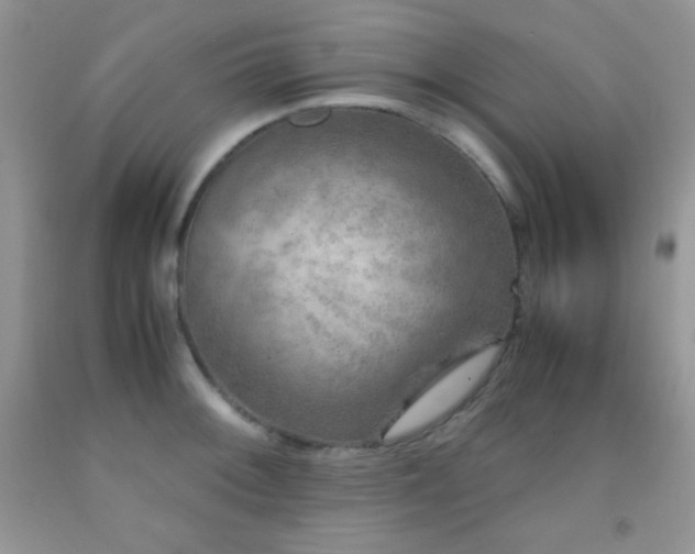 X0000092291092200709141254