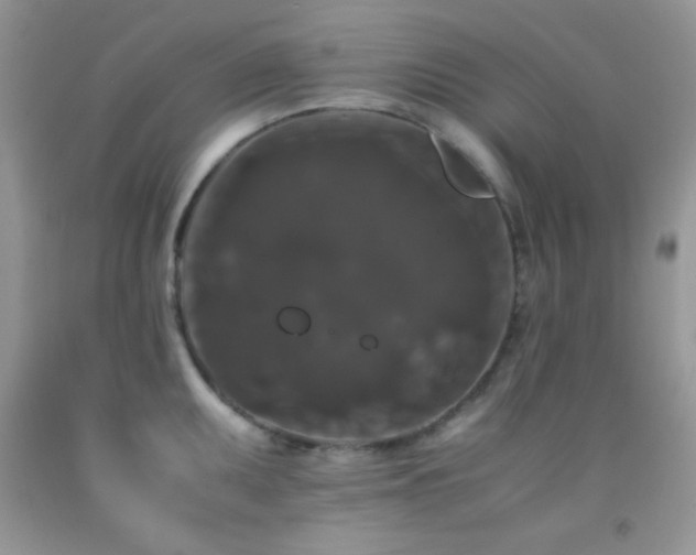 X0000092291095200709141254