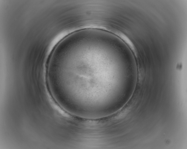 X0000092291096200709141254