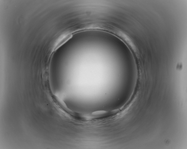 X0000092291097200709141254
