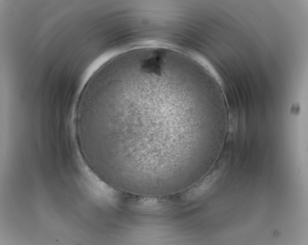 X0000092291098200709141254