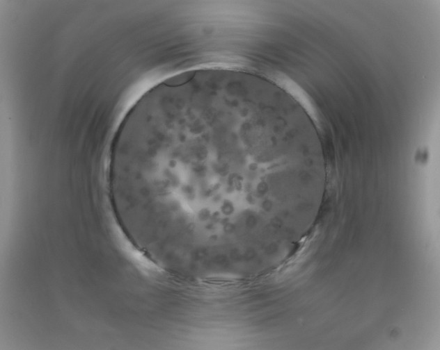 X0000092291099200709141254