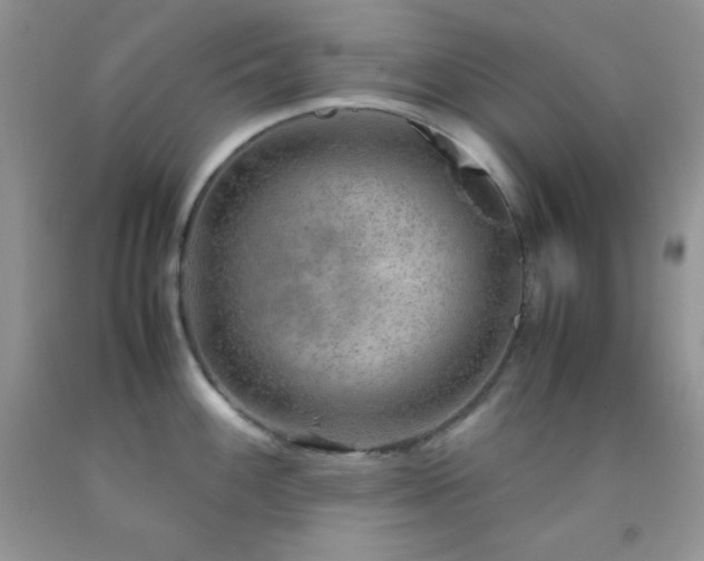 X0000092291100200709141254