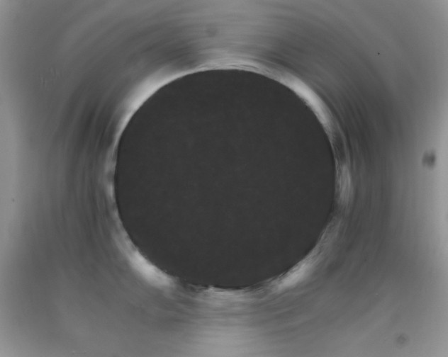 X0000092291102200709141254
