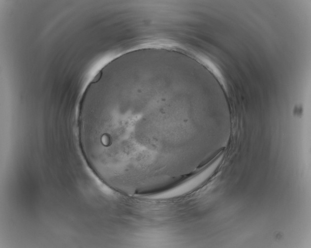 X0000092291103200709141254