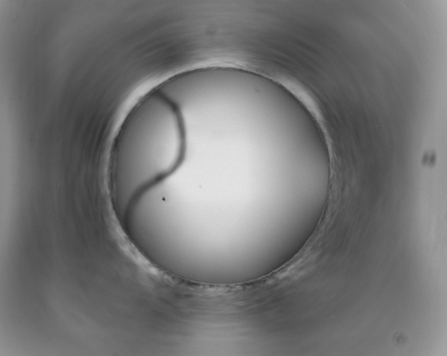 X0000092291104200709141254