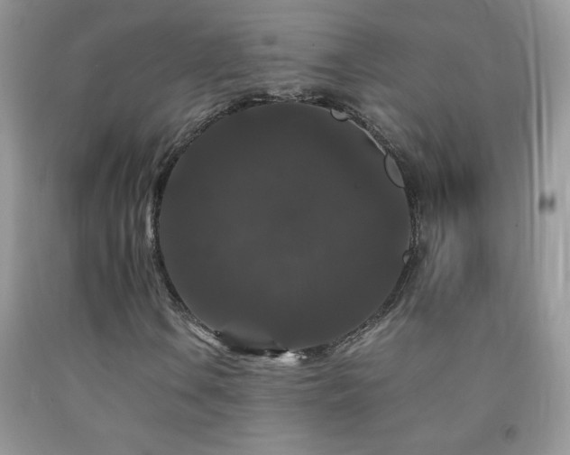 X0000092291106200709141254
