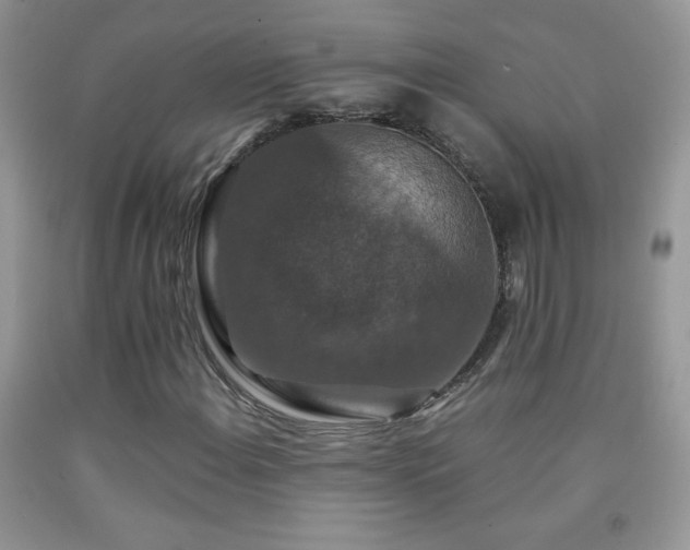 X0000092291108200709141254