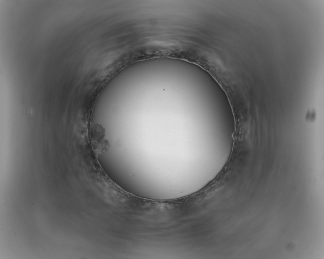 X0000092291109200709141254