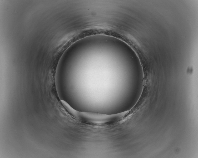 X0000092291110200709141254