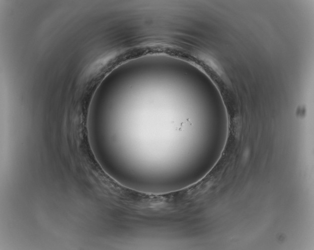 X0000092291111200709141254