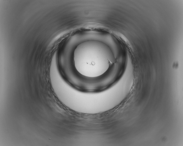 X0000092291112200709141254
