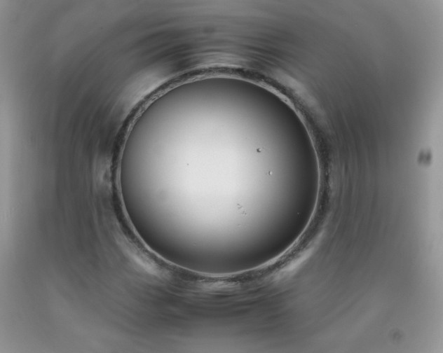 X0000092291113200709141254