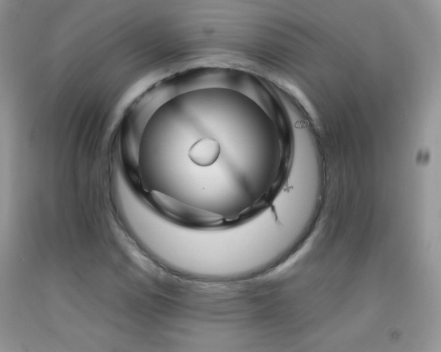 X0000092291114200709141254