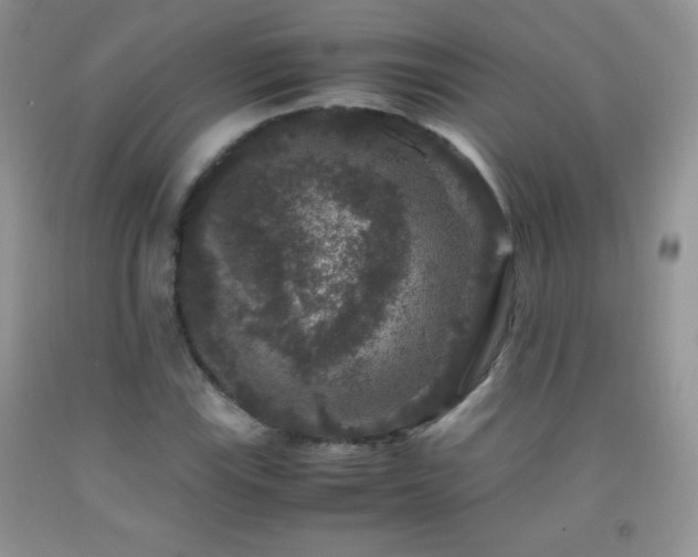 X0000092291115200709141254