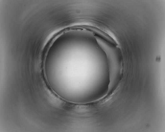 X0000092291116200709141254