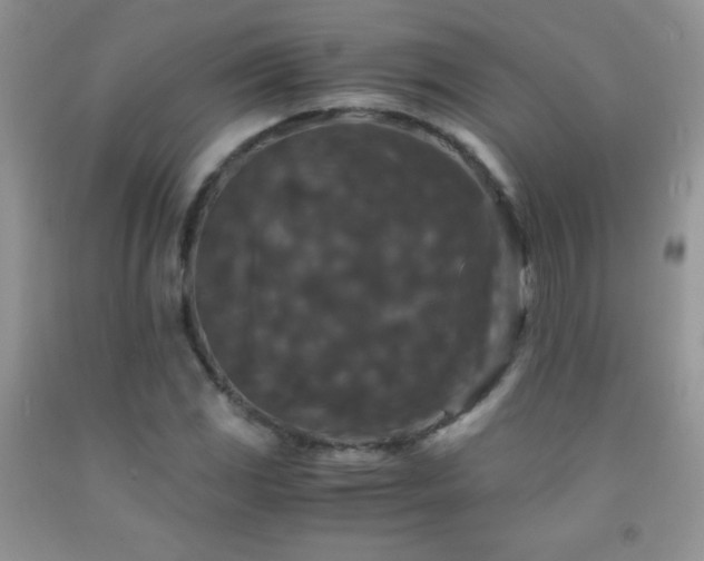 X0000092291117200709141254