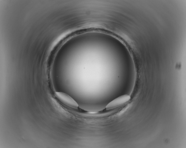X0000092291118200709141254