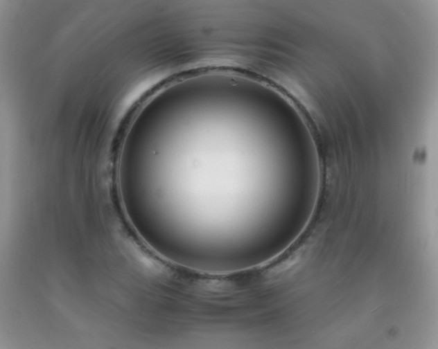 X0000092291119200709141254