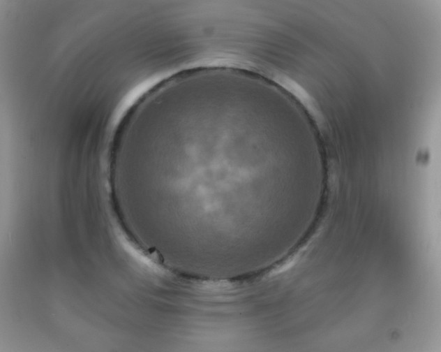 X0000092291120200709141254