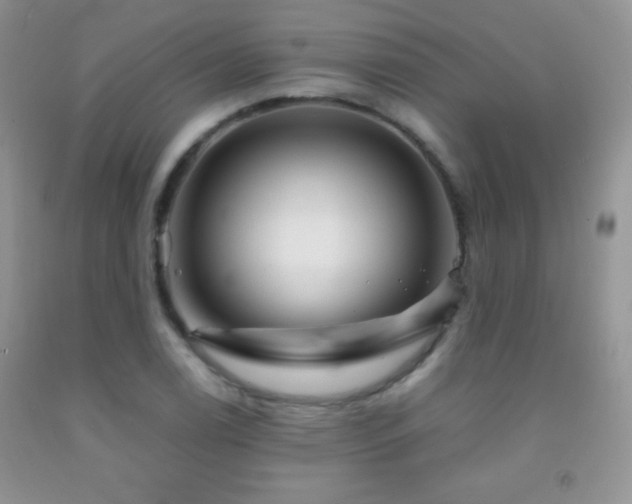 X0000092291122200709141254