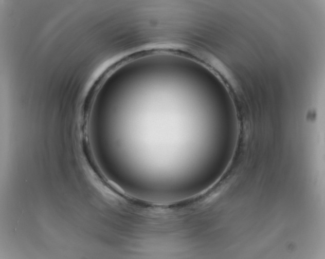 X0000092291124200709141254