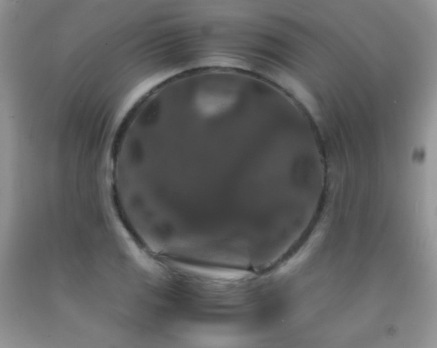 X0000092291125200709141254